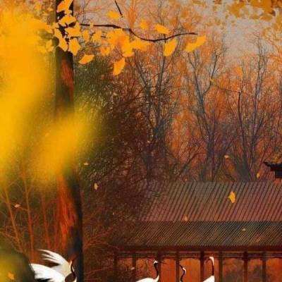 中国家具协会陈宝光：以中国技艺挖掘红木之美